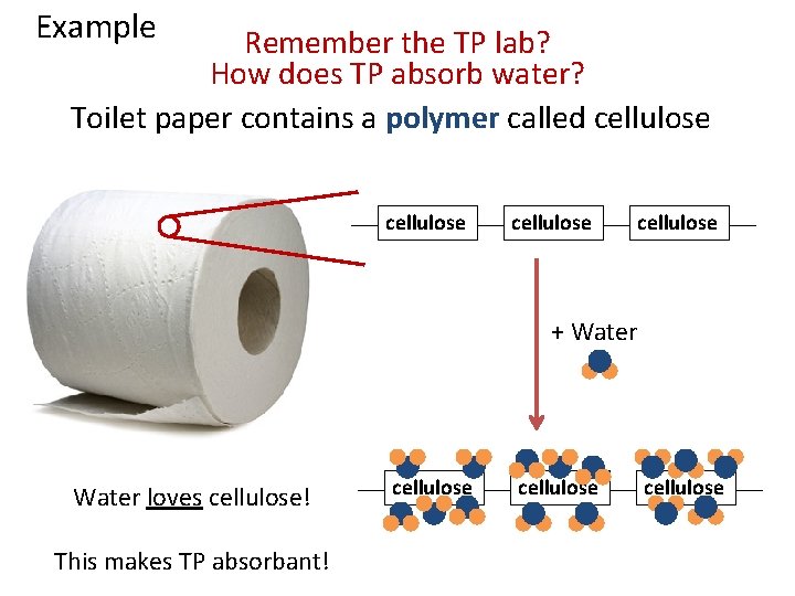 Example Remember the TP lab? How does TP absorb water? Toilet paper contains a