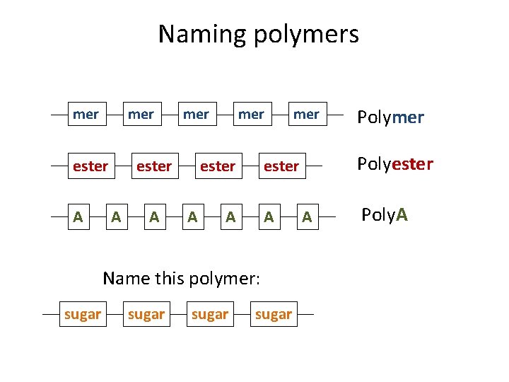 Naming polymers mer ester A A A sugar Polymer Polyester Name this polymer: sugar