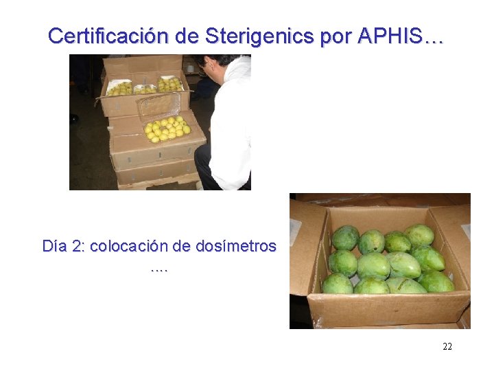 Certificación de Sterigenics por APHIS… Día 2: colocación de dosímetros. . 22 