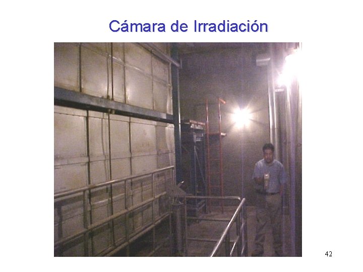 Cámara de Irradiación 42 