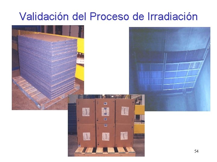 Validación del Proceso de Irradiación 54 