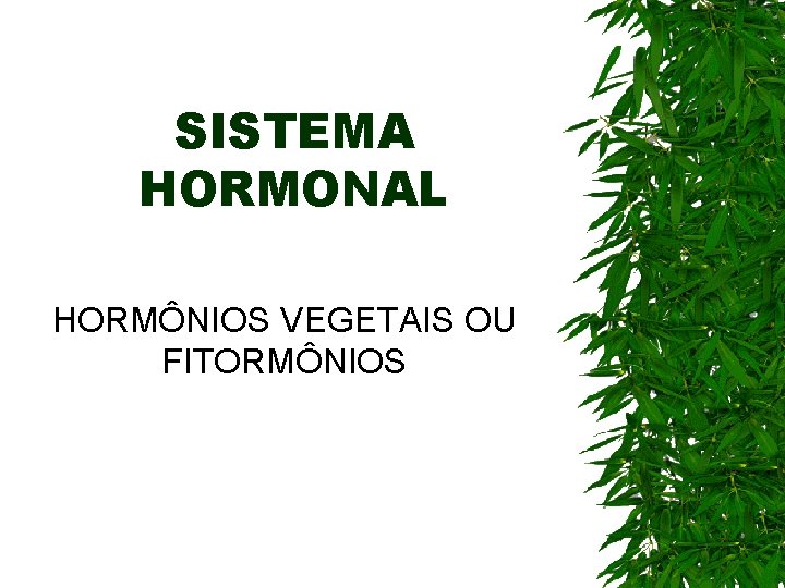SISTEMA HORMONAL HORMÔNIOS VEGETAIS OU FITORMÔNIOS SISTEMA HORMONAL HORMÔNIOS VEGETAIS OU FITORMÔNIOS