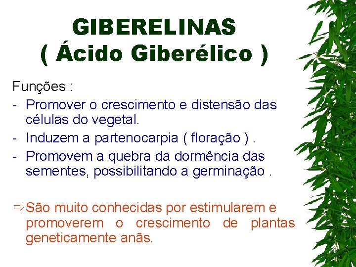 GIBERELINAS ( Ácido Giberélico ) Funções : - Promover o crescimento e distensão das GIBERELINAS ( Ácido Giberélico ) Funções : - Promover o crescimento e distensão das