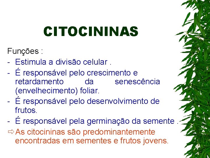 CITOCININAS Funções : - Estimula a divisão celular. - É responsável pelo crescimento e CITOCININAS Funções : - Estimula a divisão celular. - É responsável pelo crescimento e