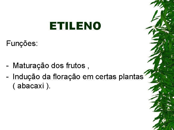 ETILENO Funções: - Maturação dos frutos , - Indução da floração em certas plantas ETILENO Funções: - Maturação dos frutos , - Indução da floração em certas plantas