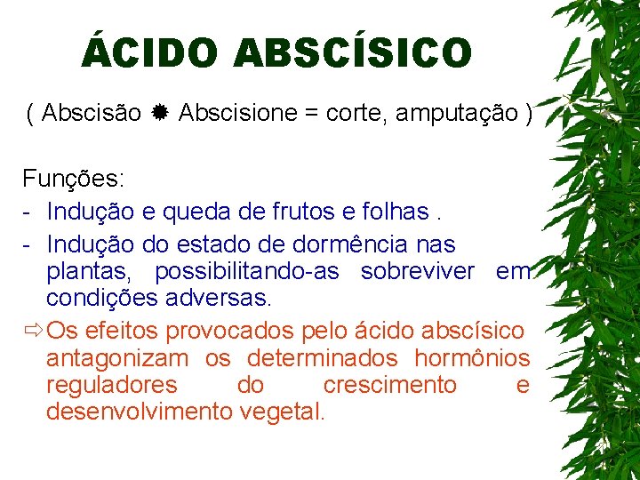 ÁCIDO ABSCÍSICO ( Abscisão Abscisione = corte, amputação ) Funções: - Indução e queda ÁCIDO ABSCÍSICO ( Abscisão Abscisione = corte, amputação ) Funções: - Indução e queda