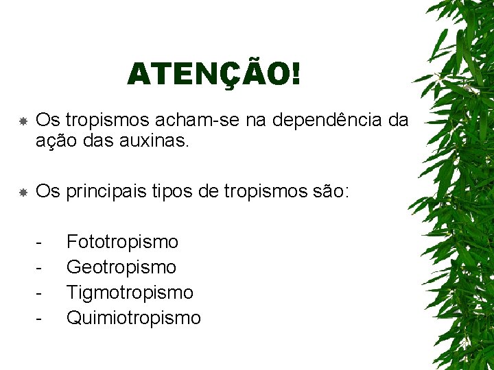 ATENÇÃO! Os tropismos acham-se na dependência da ação das auxinas. Os principais tipos de ATENÇÃO! Os tropismos acham-se na dependência da ação das auxinas. Os principais tipos de