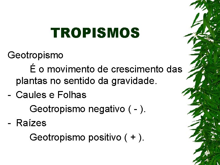 TROPISMOS Geotropismo É o movimento de crescimento das plantas no sentido da gravidade. - TROPISMOS Geotropismo É o movimento de crescimento das plantas no sentido da gravidade. -