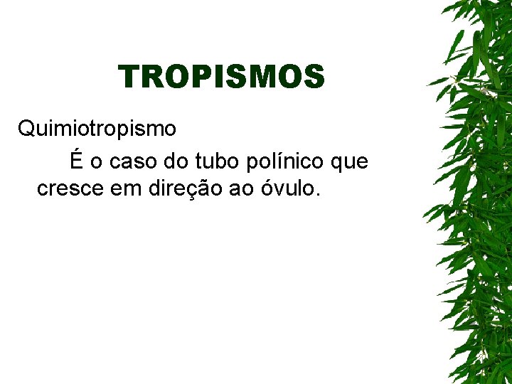 TROPISMOS Quimiotropismo É o caso do tubo polínico que cresce em direção ao óvulo. TROPISMOS Quimiotropismo É o caso do tubo polínico que cresce em direção ao óvulo.
