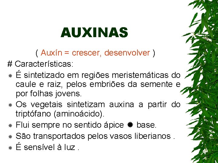 AUXINAS ( Auxín = crescer, desenvolver ) # Características: É sintetizado em regiões meristemáticas AUXINAS ( Auxín = crescer, desenvolver ) # Características: É sintetizado em regiões meristemáticas