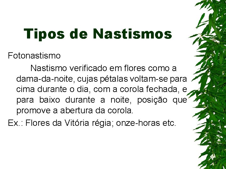 Tipos de Nastismos Fotonastismo Nastismo verificado em flores como a dama-da-noite, cujas pétalas voltam-se Tipos de Nastismos Fotonastismo Nastismo verificado em flores como a dama-da-noite, cujas pétalas voltam-se