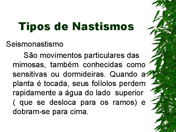 Tipos de Nastismos Seismonastismo São movimentos particulares das mimosas, também conhecidas como sensitivas ou Tipos de Nastismos Seismonastismo São movimentos particulares das mimosas, também conhecidas como sensitivas ou