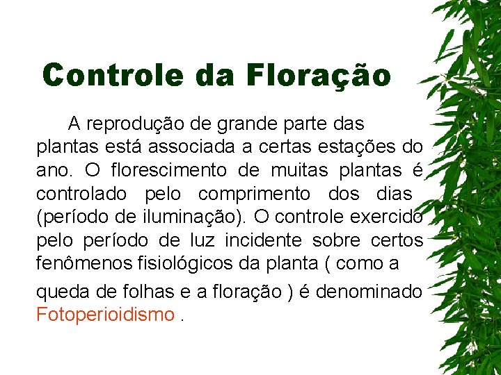 Controle da Floração A reprodução de grande parte das plantas está associada a certas Controle da Floração A reprodução de grande parte das plantas está associada a certas