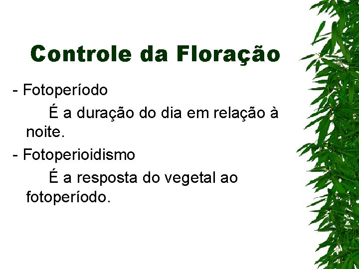 Controle da Floração - Fotoperíodo É a duração do dia em relação à noite. Controle da Floração - Fotoperíodo É a duração do dia em relação à noite.