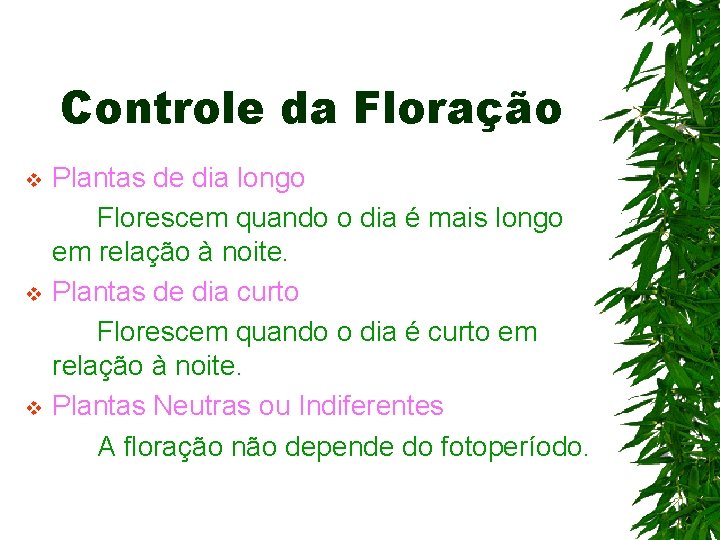 Controle da Floração v v v Plantas de dia longo Florescem quando o dia Controle da Floração v v v Plantas de dia longo Florescem quando o dia