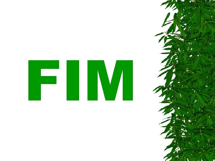 FIM FIM