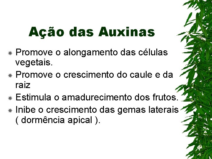 Ação das Auxinas Promove o alongamento das células vegetais. Promove o crescimento do caule Ação das Auxinas Promove o alongamento das células vegetais. Promove o crescimento do caule