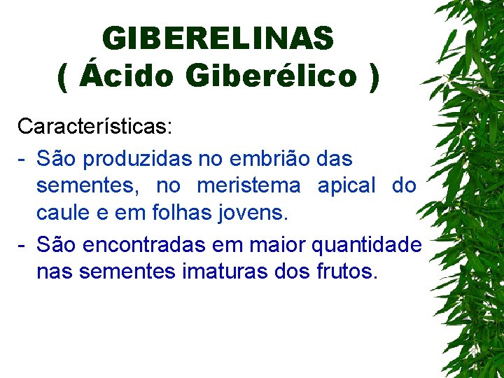 GIBERELINAS ( Ácido Giberélico ) Características: - São produzidas no embrião das sementes, no GIBERELINAS ( Ácido Giberélico ) Características: - São produzidas no embrião das sementes, no