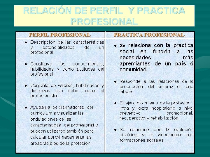 RELACIÓN DE PERFIL Y PRACTICA PROFESIONAL 