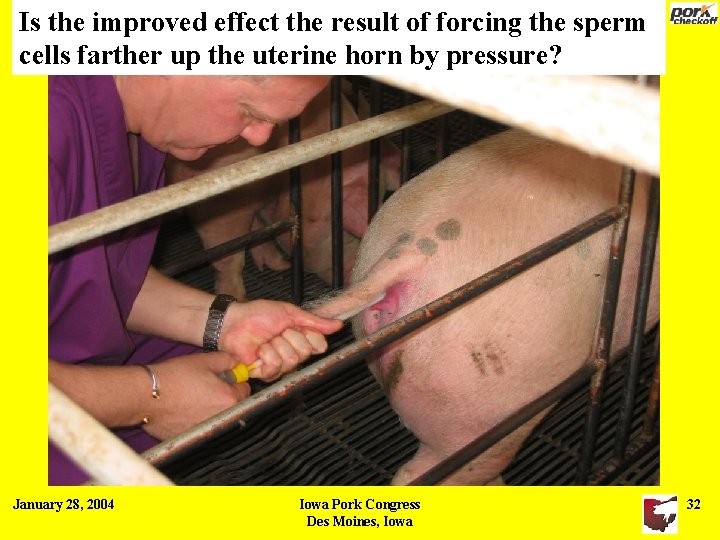 Is the improved effect the result of forcing the sperm cells farther up the Is the improved effect the result of forcing the sperm cells farther up the