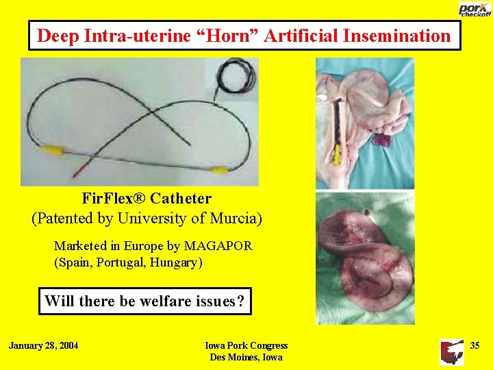 Deep Intra-uterine “Horn” Artificial Insemination Fir. Flex® Catheter (Patented by University of Murcia) Marketed Deep Intra-uterine “Horn” Artificial Insemination Fir. Flex® Catheter (Patented by University of Murcia) Marketed