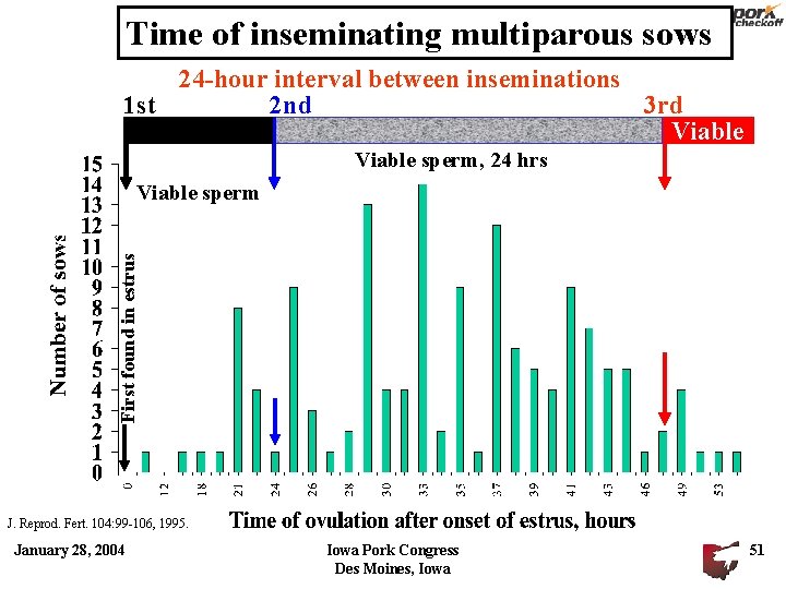 Time of inseminating multiparous sows 24 -hour interval between inseminations 1 st 2 nd Time of inseminating multiparous sows 24 -hour interval between inseminations 1 st 2 nd