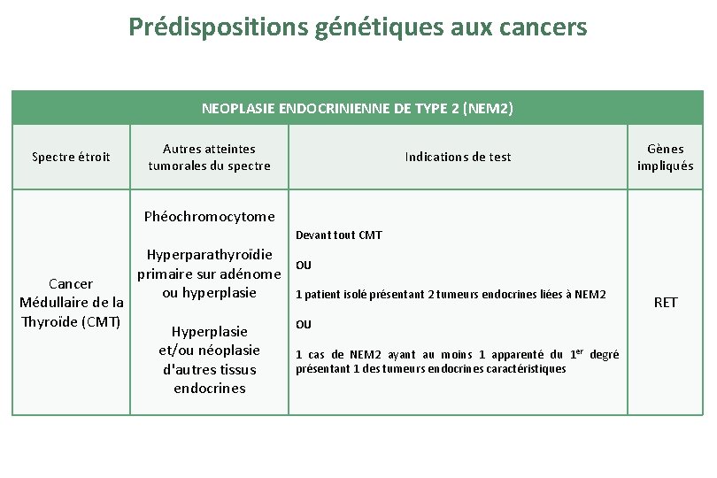 Prédispositions génétiques aux cancers NEOPLASIE ENDOCRINIENNE DE TYPE 2 (NEM 2) Spectre étroit Autres