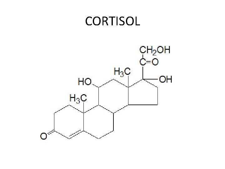 CORTISOL 