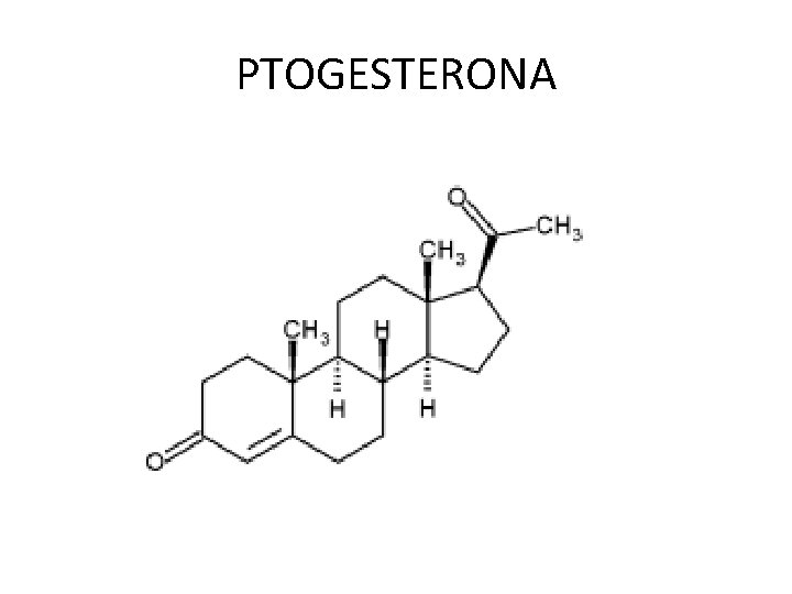 PTOGESTERONA 