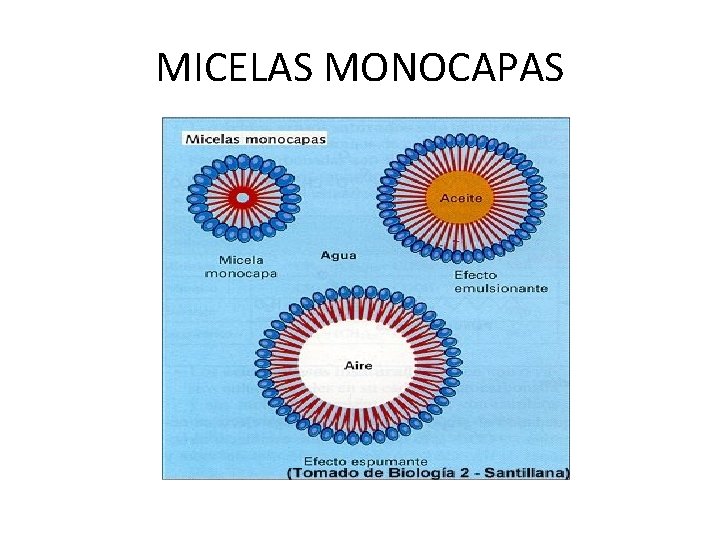 MICELAS MONOCAPAS 