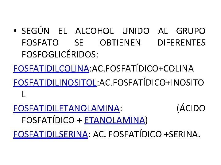  • SEGÚN EL ALCOHOL UNIDO AL GRUPO FOSFATO SE OBTIENEN DIFERENTES FOSFOGLICÉRIDOS: FOSFATIDILCOLINA: