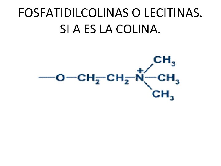 FOSFATIDILCOLINAS O LECITINAS. SI A ES LA COLINA. 