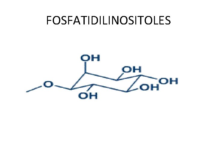 FOSFATIDILINOSITOLES 