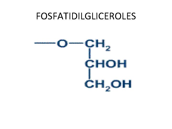 FOSFATIDILGLICEROLES 