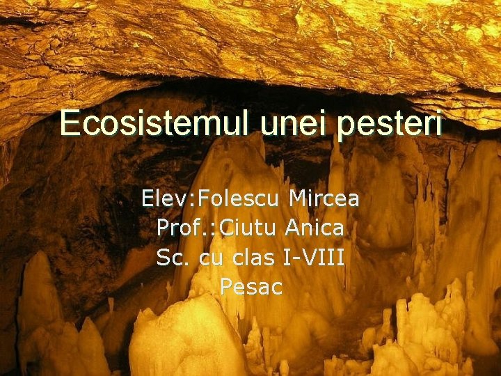 Ecosistemul unei pesteri Elev: Folescu Mircea Prof. : Ciutu Anica Sc. cu clas I-VIII