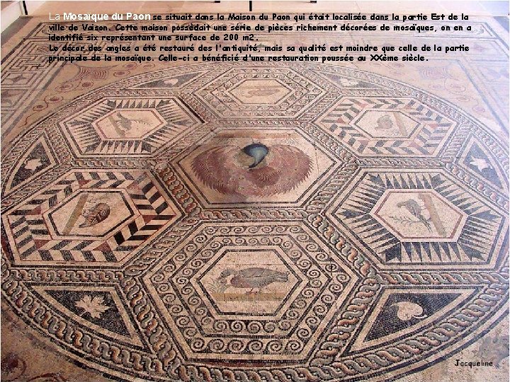 La Mosaïque du Paon se situait dans la Maison du Paon qui était localisée