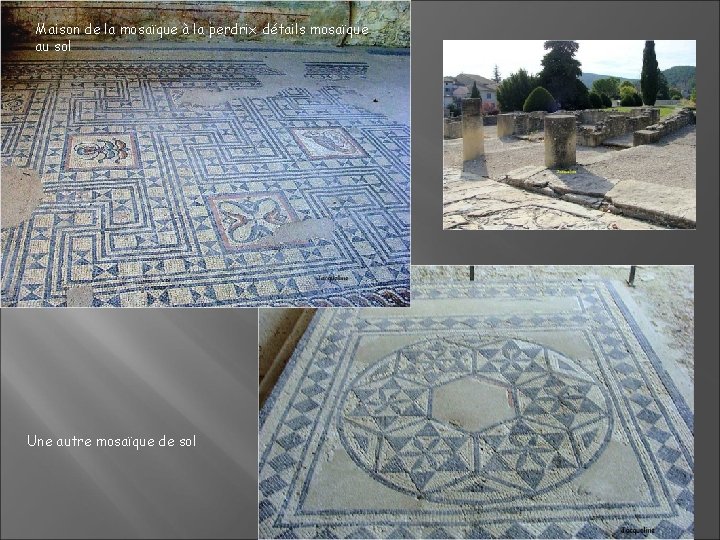 Maison de la mosaïque à la perdrix détails mosaïque au sol Une autre mosaïque