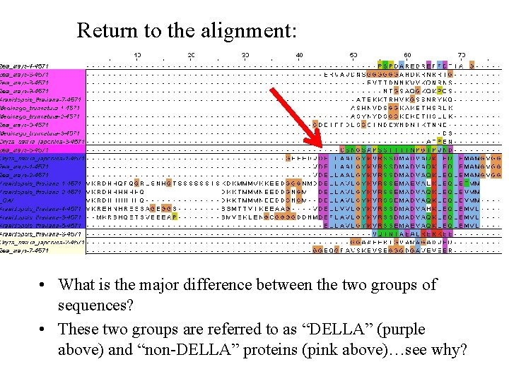 Return to the alignment: • What is the major difference between the two groups