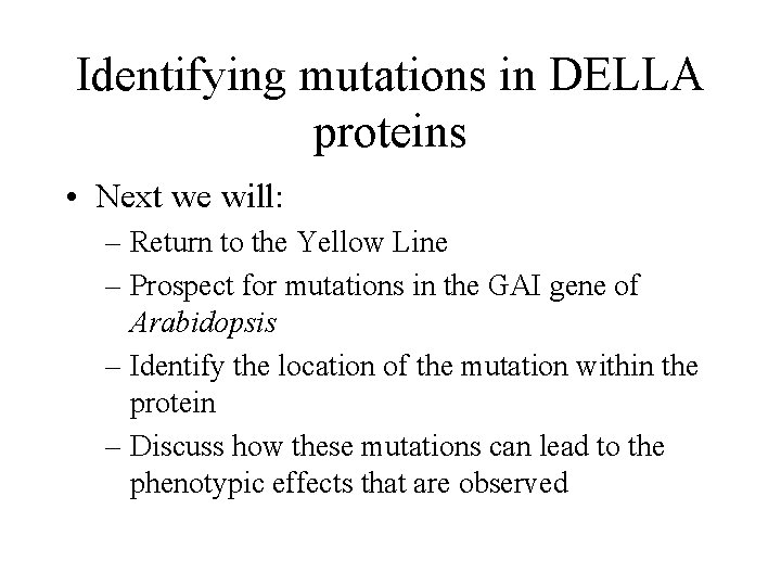 Identifying mutations in DELLA proteins • Next we will: – Return to the Yellow