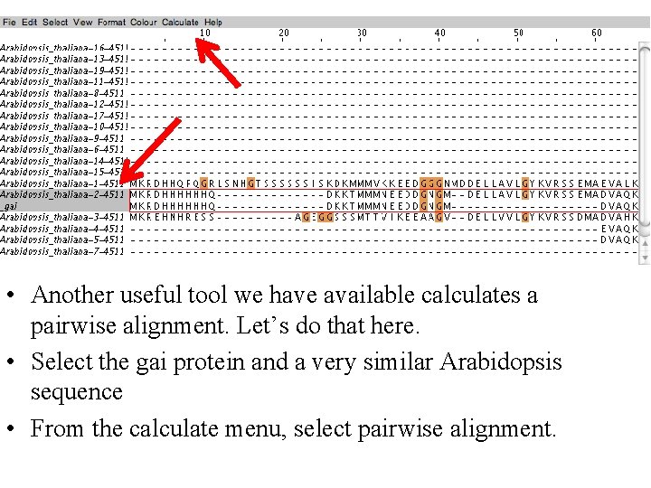  • Another useful tool we have available calculates a pairwise alignment. Let’s do