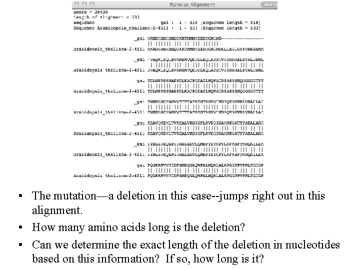  • The mutation—a deletion in this case--jumps right out in this alignment. •