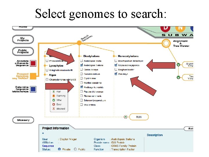 Select genomes to search: 