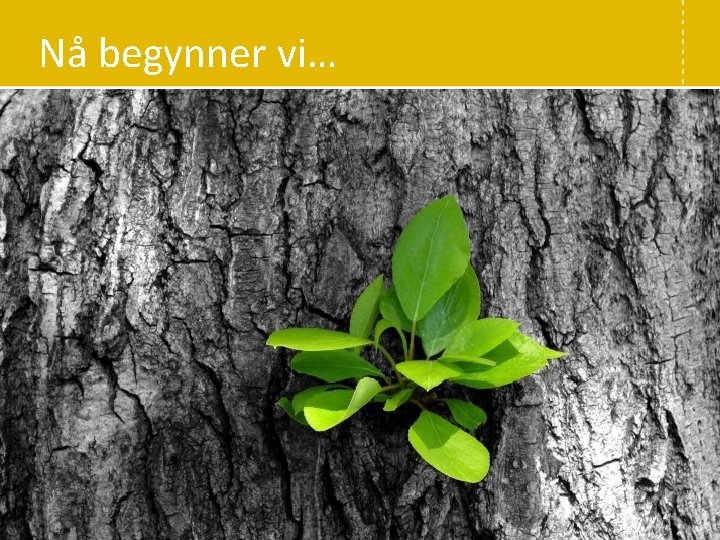 Nå begynner vi… 3 