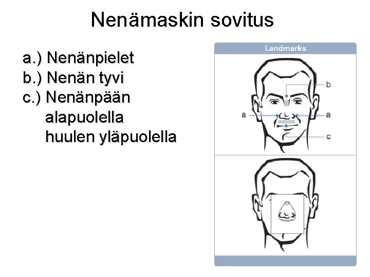 Nenämaskin sovitus a. ) Nenänpielet b. ) Nenän tyvi c. ) Nenänpään alapuolella huulen