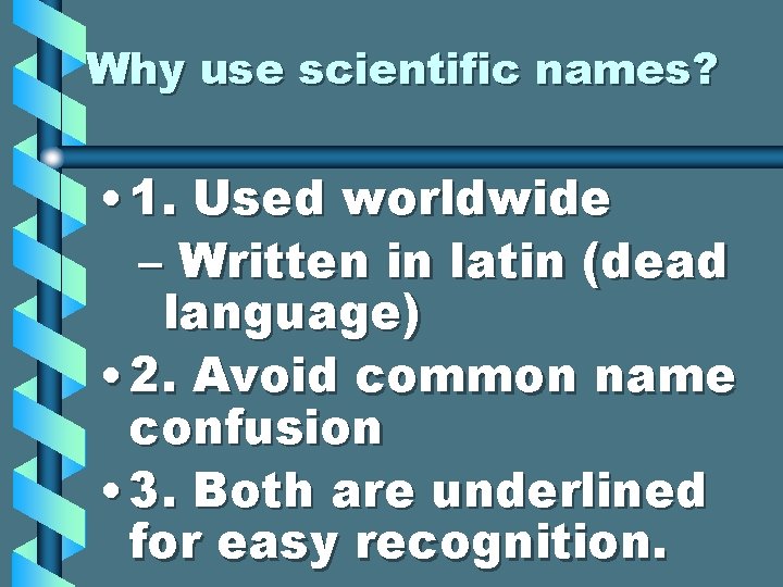 Why use scientific names? • 1. Used worldwide – Written in latin (dead language)