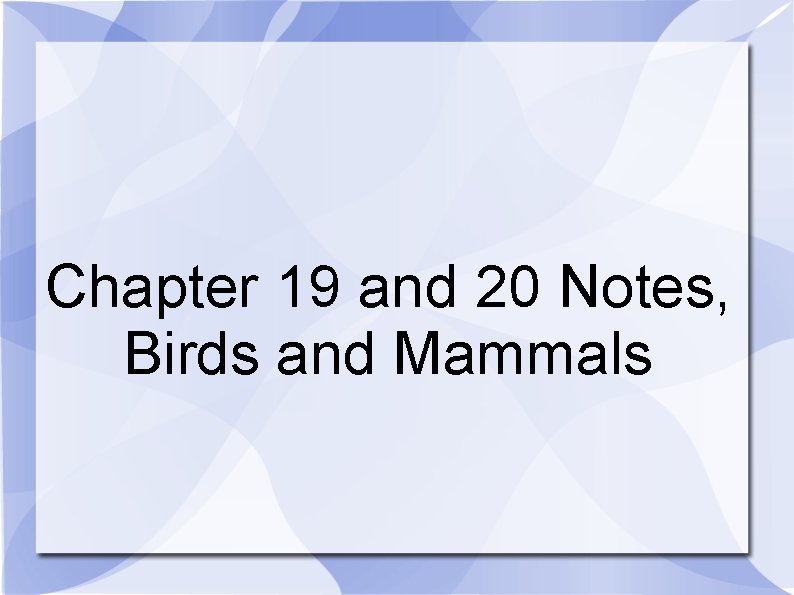 Chapter 19 and 20 Notes, Birds and Mammals 