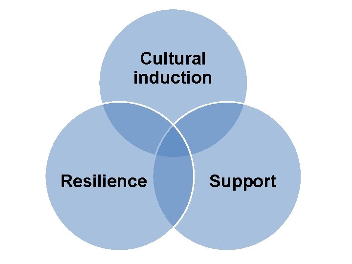 Cultural induction Resilience Support 