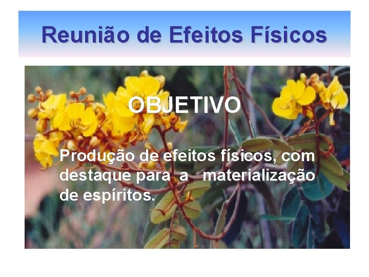 Reunião de Efeitos Físicos OBJETIVO Produção de efeitos físicos, com destaque para a materialização