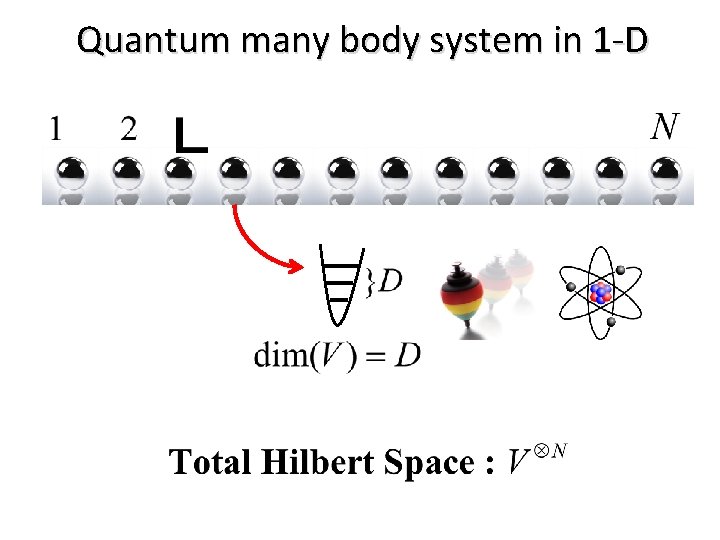 Quantum many body system in 1 -D 