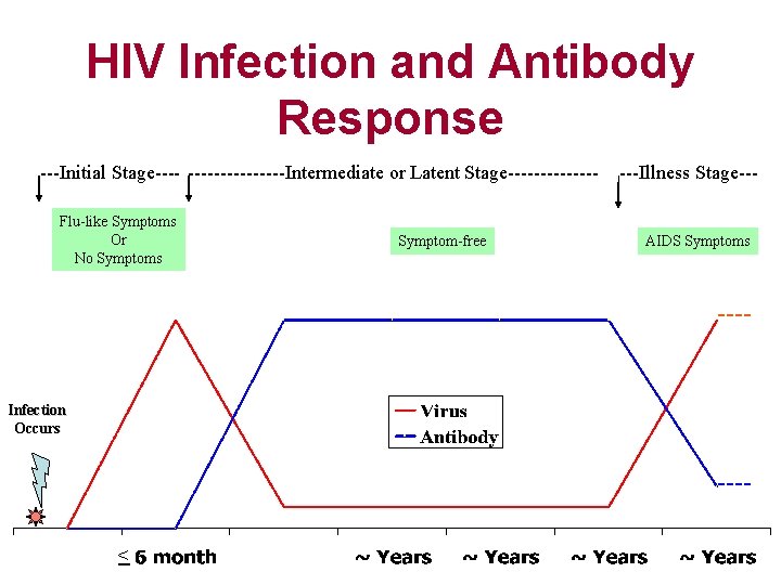 HIV Infection and Antibody Response ---Initial Stage--------Intermediate or Latent Stage-------Flu-like Symptoms Or No Symptoms